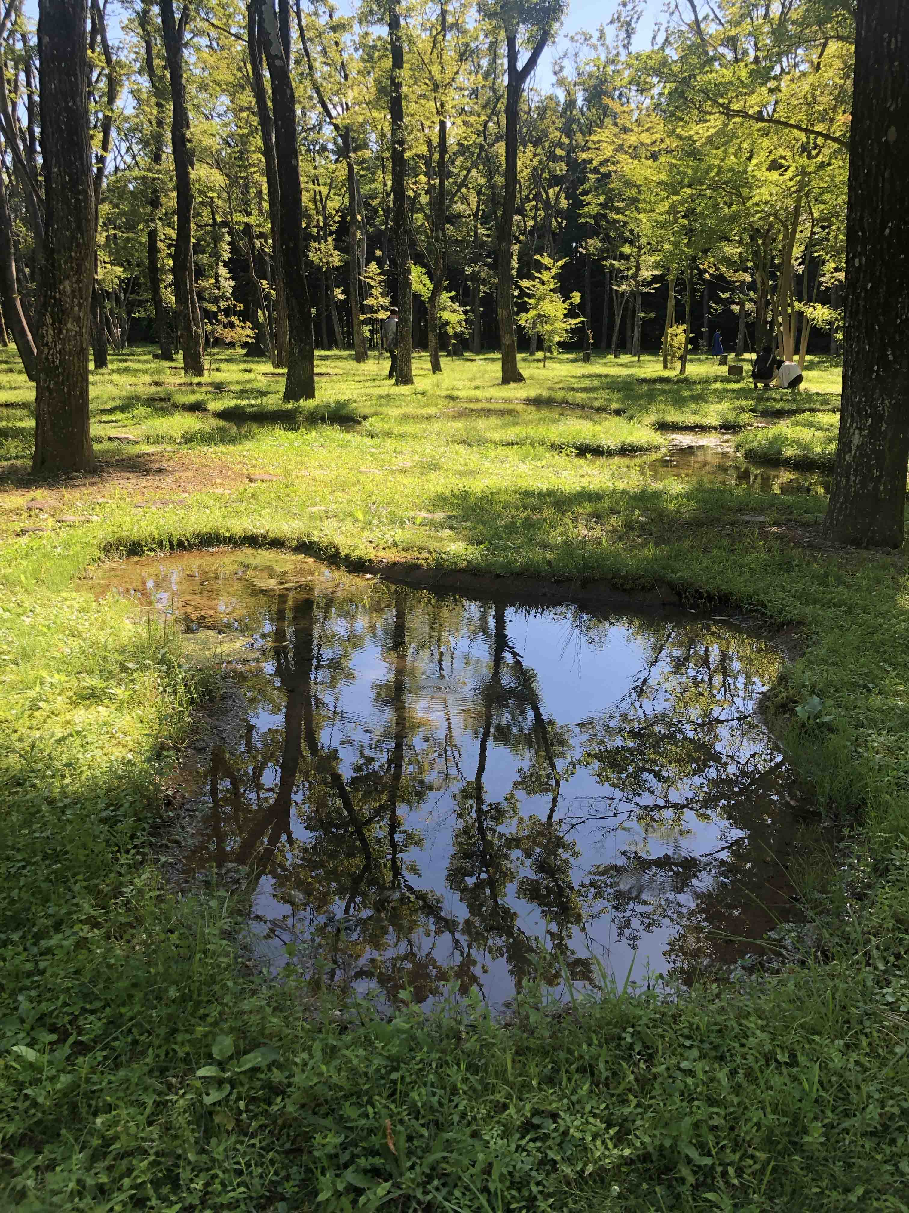 2022年 ゼミ合宿＠那須 | Matsushita Lab.